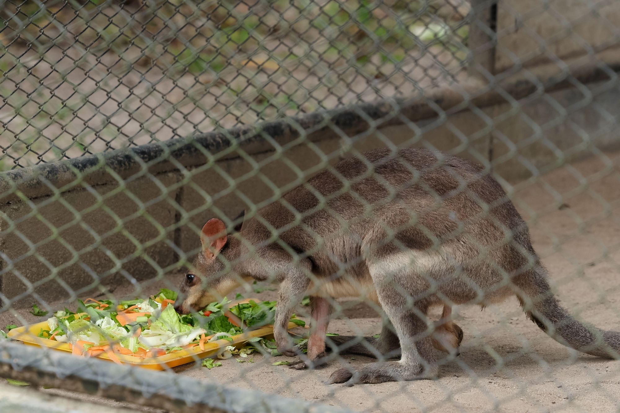 ซีพี แอ็กซ์ตร้า ตอกย้ำความสำเร็จการจัดการขยะครบวงจร
พร้อมขับเคลื่อนสู่เป้าหมายขยะเป็นศูนย์ ในปี 2030