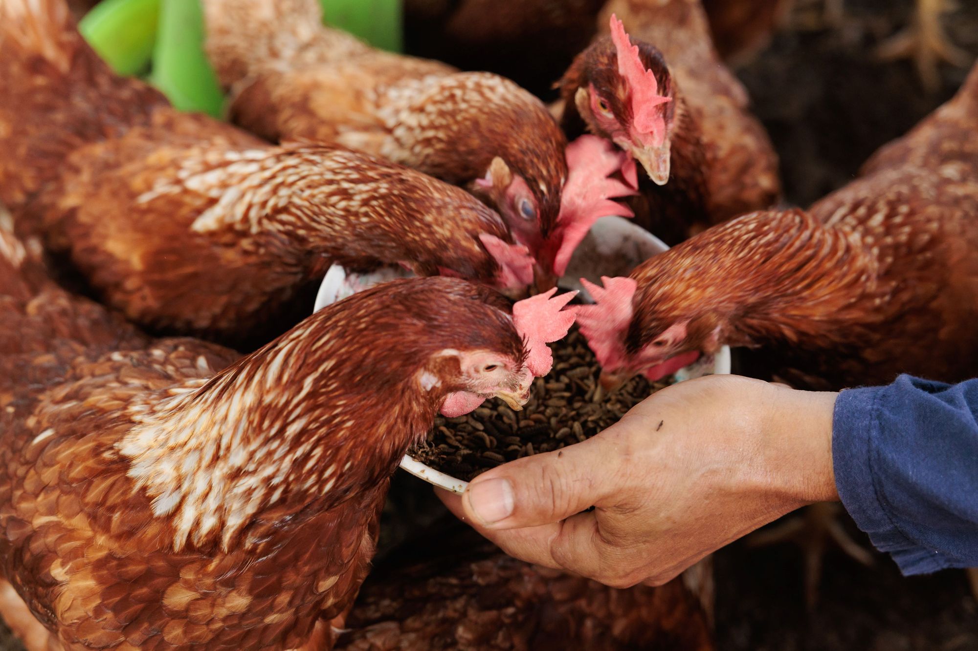 ซีพี แอ็กซ์ตร้า ตอกย้ำความสำเร็จการจัดการขยะครบวงจร
พร้อมขับเคลื่อนสู่เป้าหมายขยะเป็นศูนย์ ในปี 2030